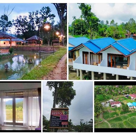 Sawah Resto Bungalow & Jungle Trekking Bukit Lawang Bagian luar foto