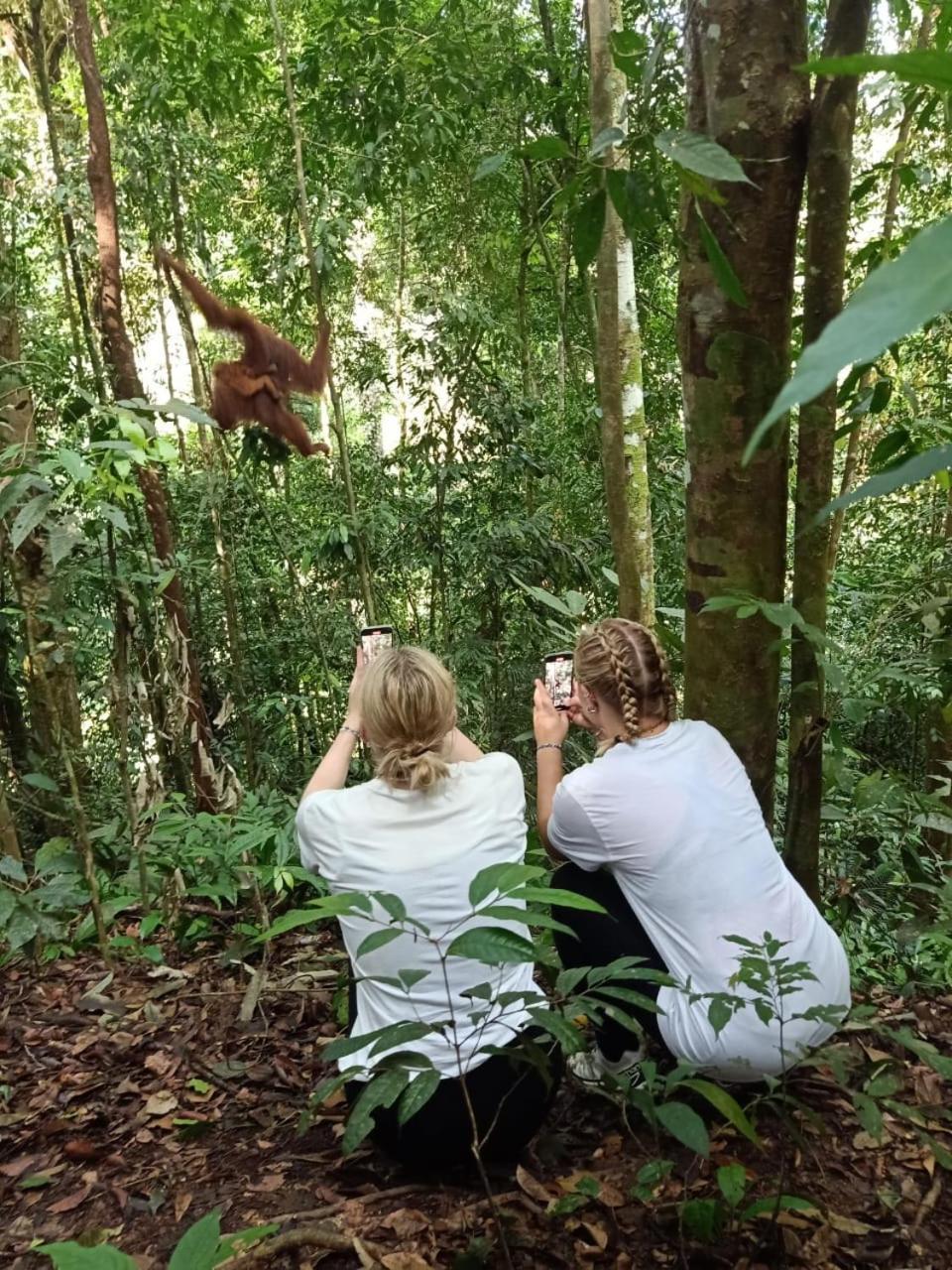 Sawah Resto Bungalow & Jungle Trekking Bukit Lawang Bagian luar foto