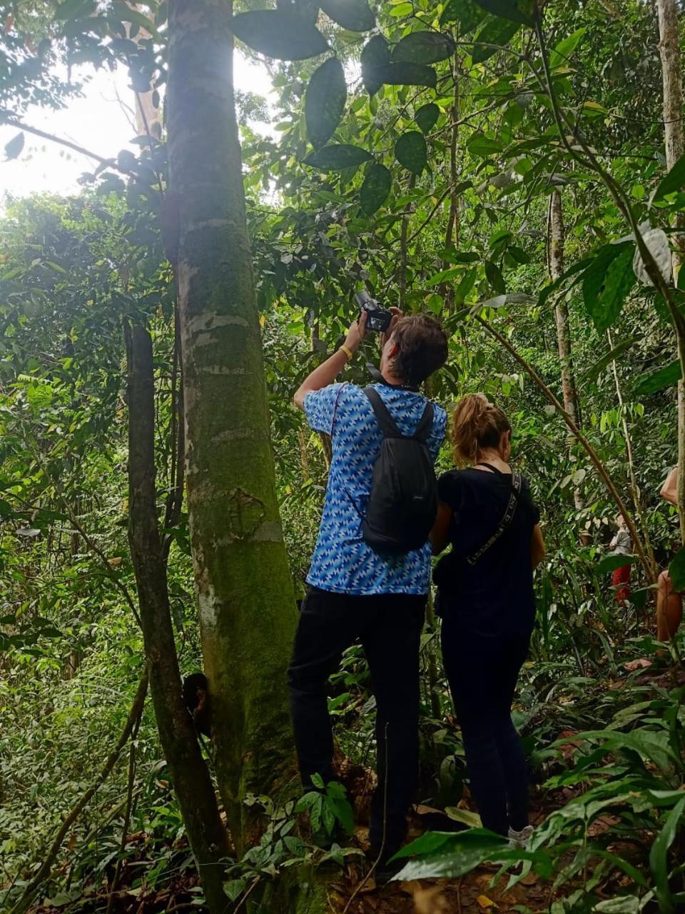 Sawah Resto Bungalow & Jungle Trekking Bukit Lawang Bagian luar foto