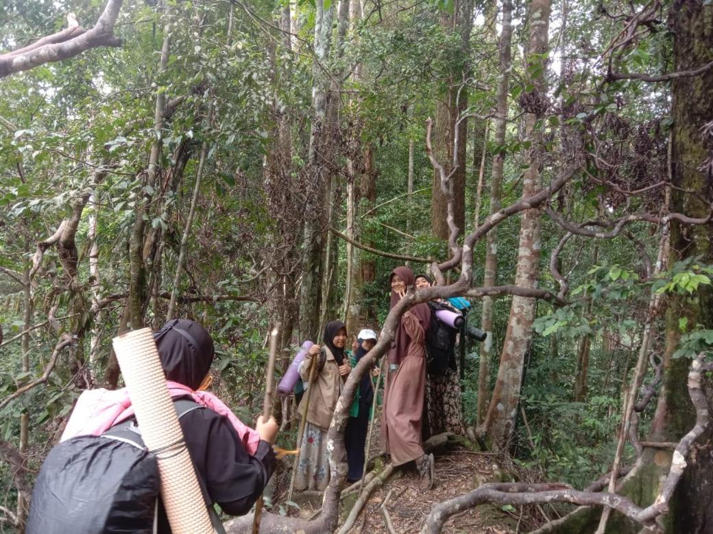 Sawah Resto Bungalow & Jungle Trekking Bukit Lawang Bagian luar foto