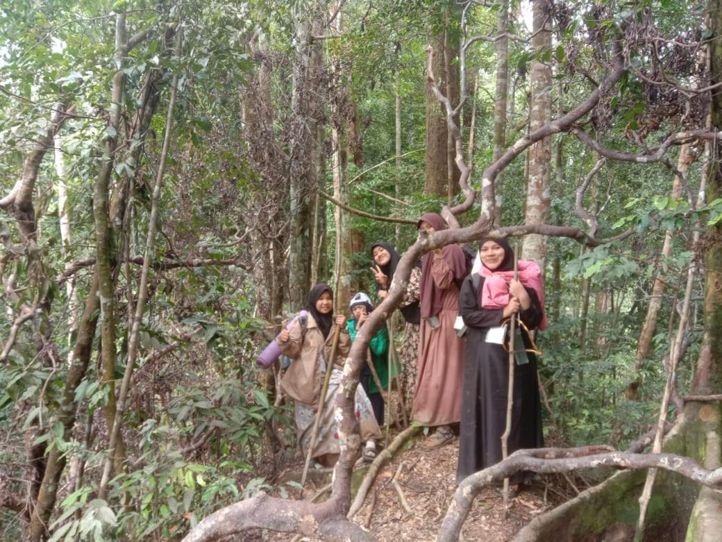 Sawah Resto Bungalow & Jungle Trekking Bukit Lawang Bagian luar foto